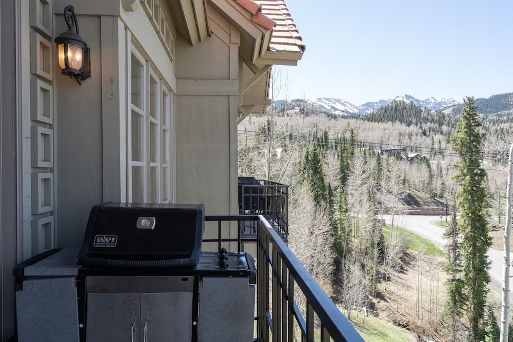 BBQ/picnic area