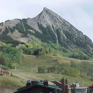 Ponderosa