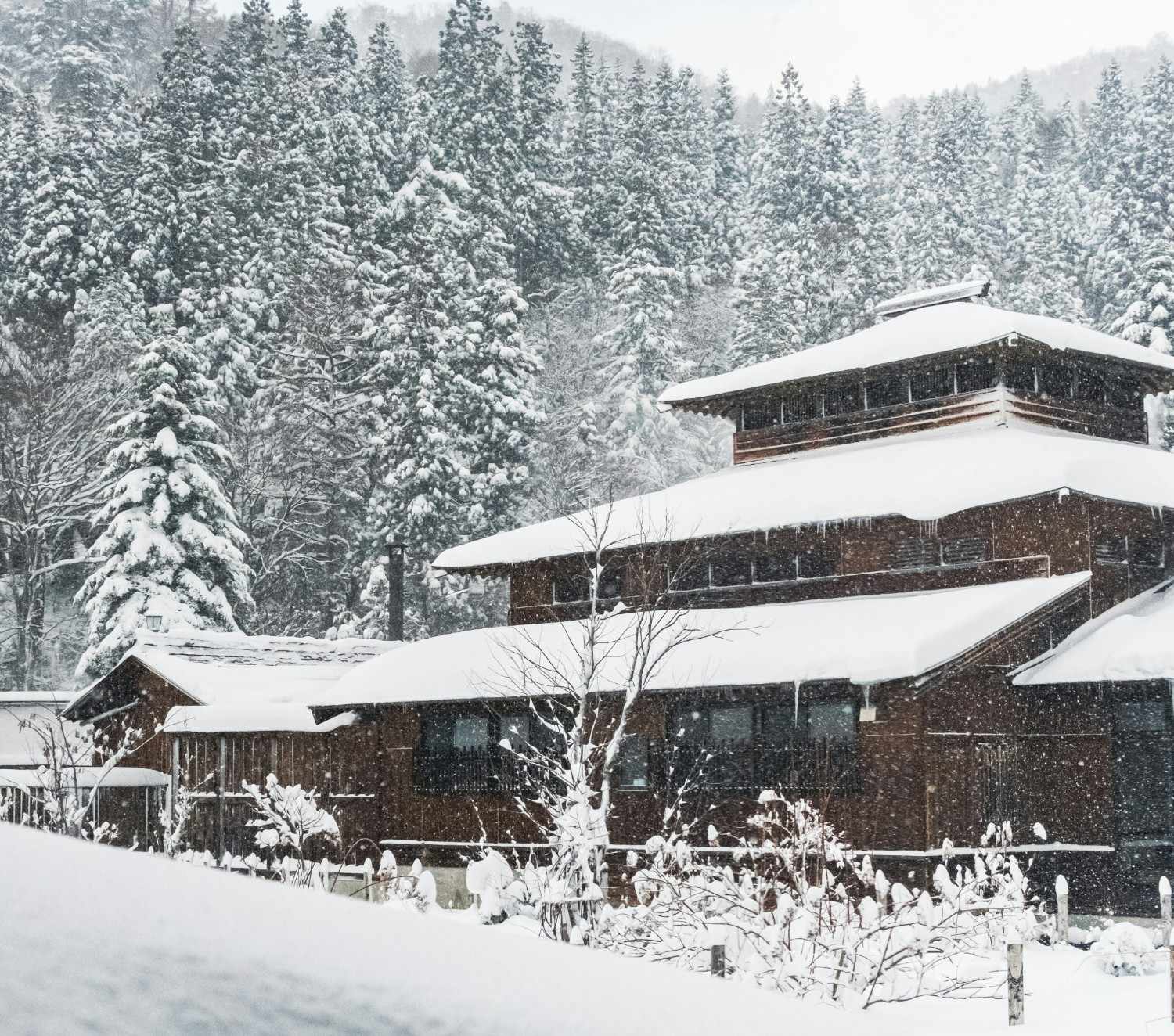 The 5 Best Ski Resorts in Nagano, 2024/25