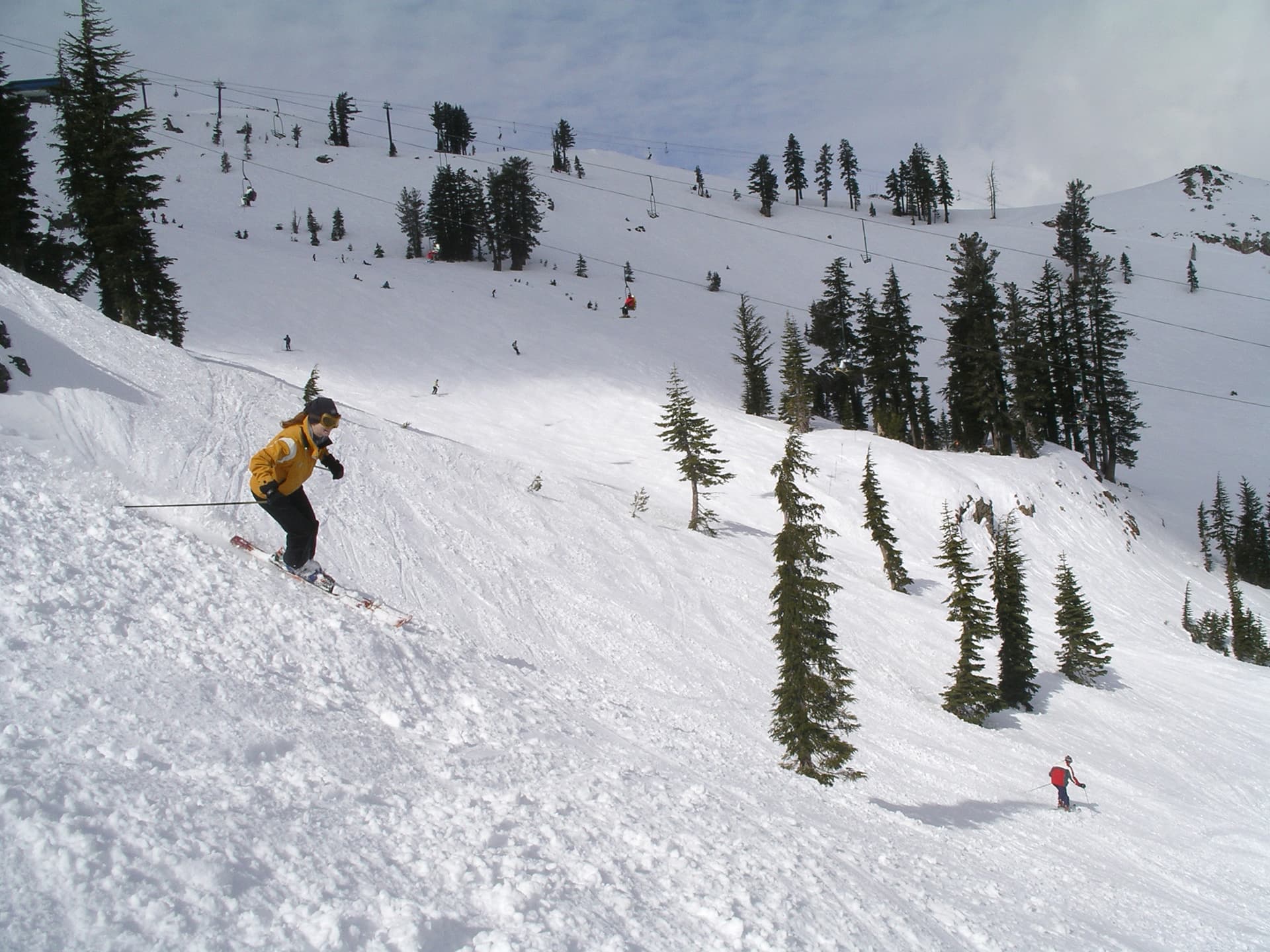 Alpine Meadows