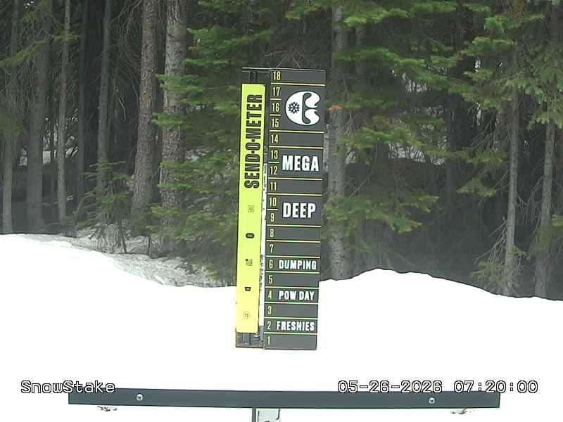 Snowstake Cam