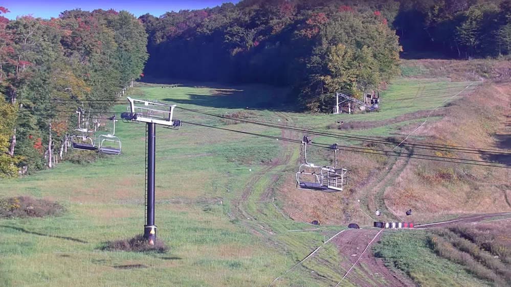Bear Cam