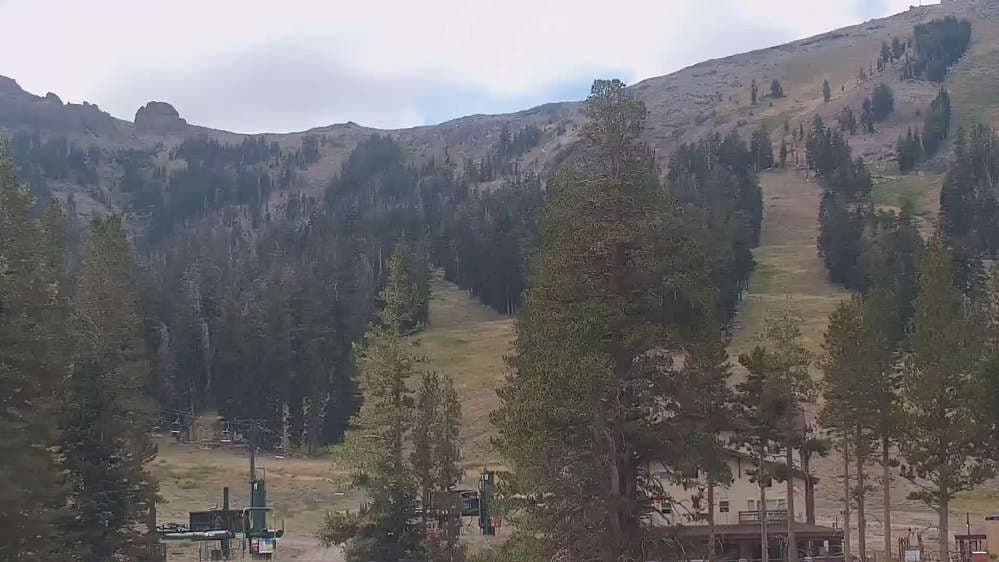 Red Cliffs Cam