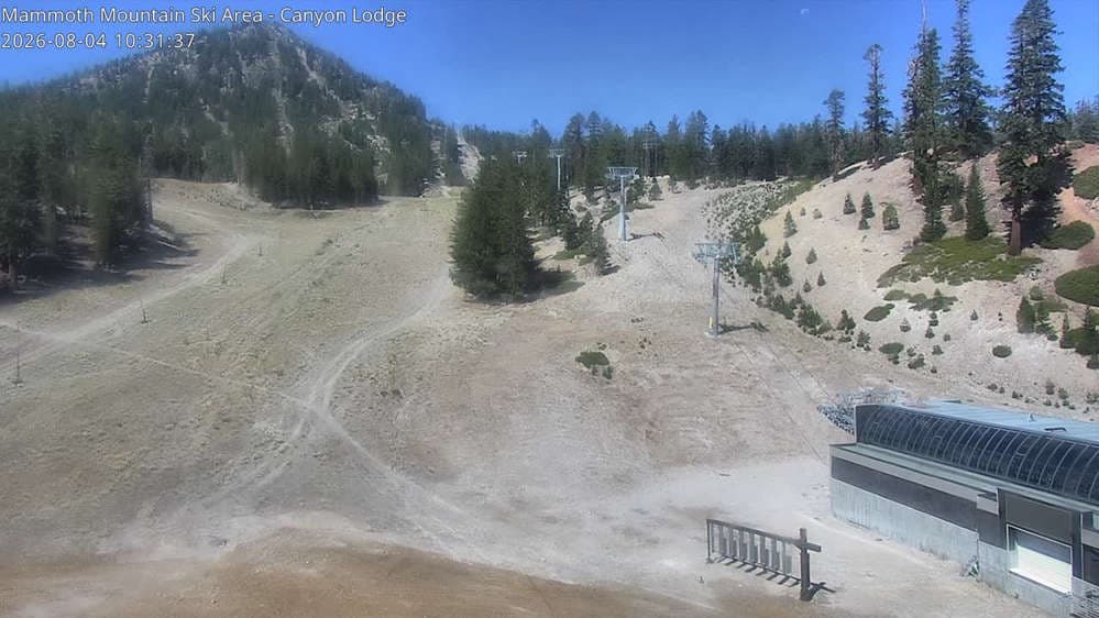 Mammoth Mountain - Canyon Lodge Lincoln Mountain Webcam