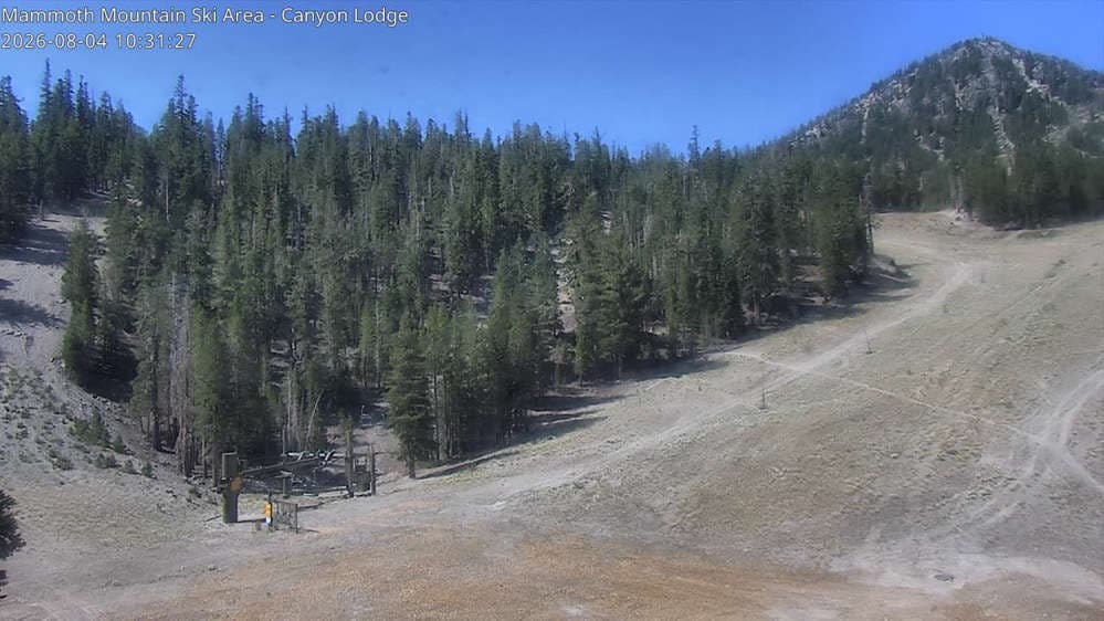 Chair 8 Bottom