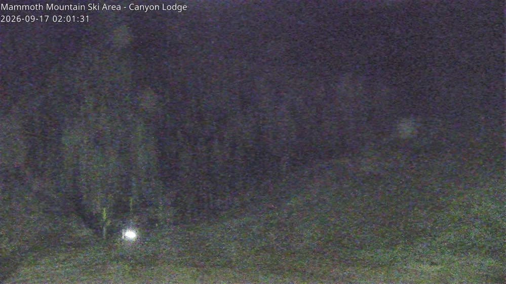 Chair 8 Bottom
