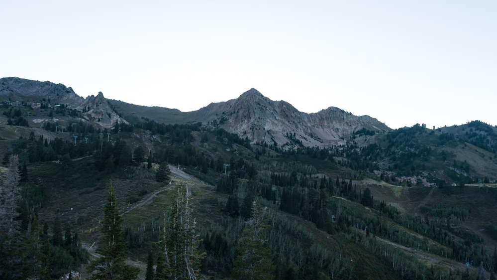 Mt. Ogden