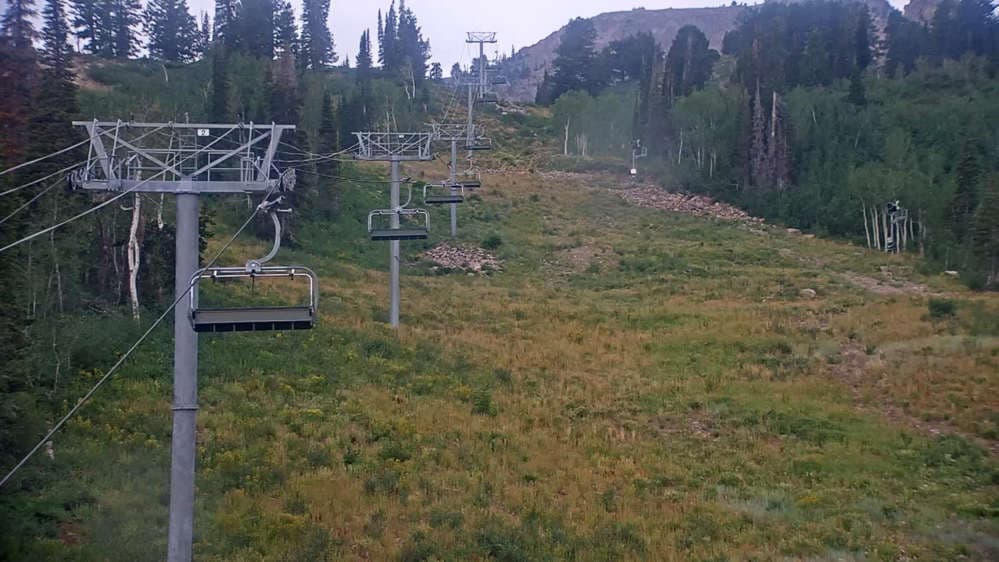 Middle Bowl Base