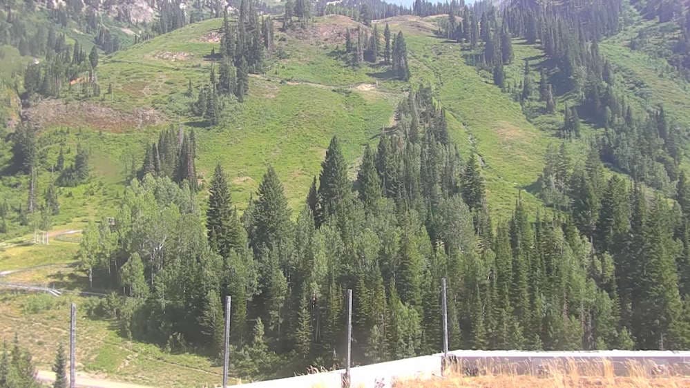 Snowbird - Peruvian Gulch