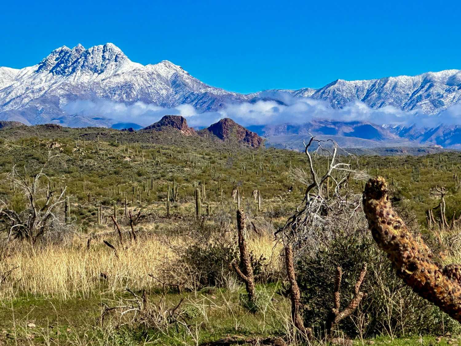3 Best Ski Resorts in Arizona, 2023/24