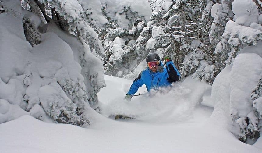 17 Reasons to Ski in January