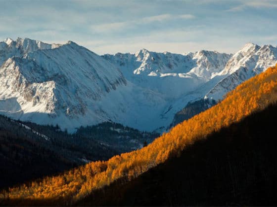Snowpak Relaunch