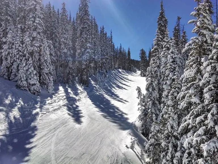 3 Best Ski Resorts in Arizona, 2023/24