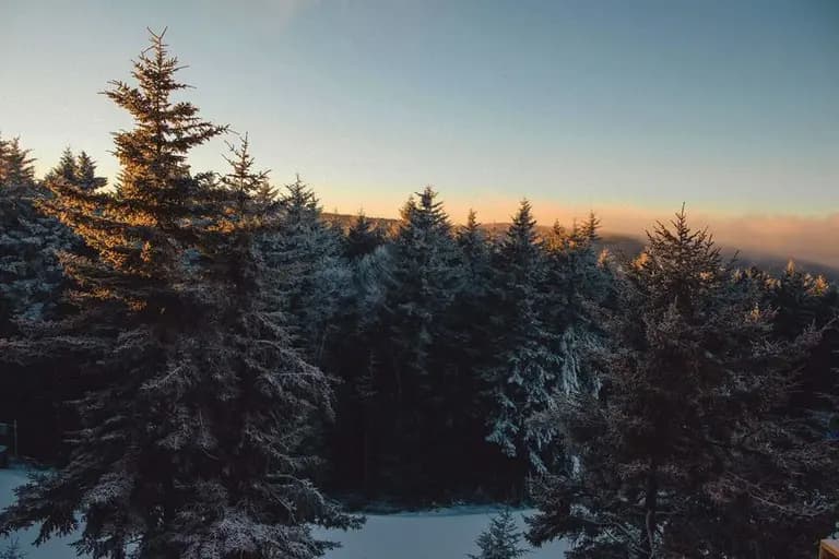 The 6 Best Ski Resorts Near Washington DC, 2023/24