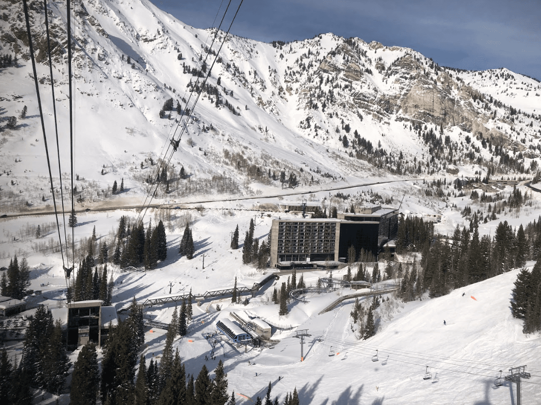 Snowbird