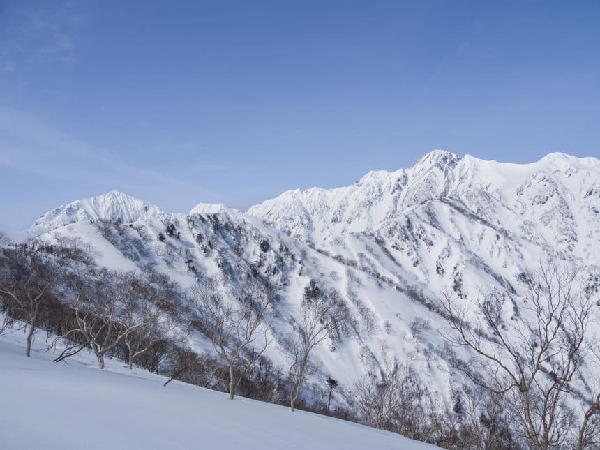 The 5 Best Ski Resorts in Nagano, 2023/24